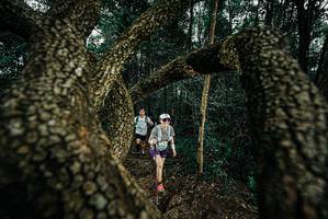 BIB: 
                            <button type="button" onclick="openModal(25703049)" class="btn btn-primary btn-sm float-right btn-popup" data-toggle="modal" data-target=".modal-high-quality">
                        <i class="fas fa-shopping-cart"></i> Add to Cart
                    </button>
                                            <button type="button" onclick="isThisMe(25703049, true)" class="btn btn-success btn-sm float-right btn-popup btn-isme hidden" data-toggle="tooltip" data-placement="bottom" title="นี่คือรูปของคุณใช่ไหม คลิกที่นี่เพื่อเอาเข้าอัลบั้ม">
                        <i class="fas fa-plus"></i> Add to album
                    </button>
                    <button type="button" onclick="isThisMe(25703049, false)" class="btn btn-warning btn-sm float-right btn-popup btn-isnotme hidden">
                        <i class="fas fa-ban"></i> Remove from album
                    </button>